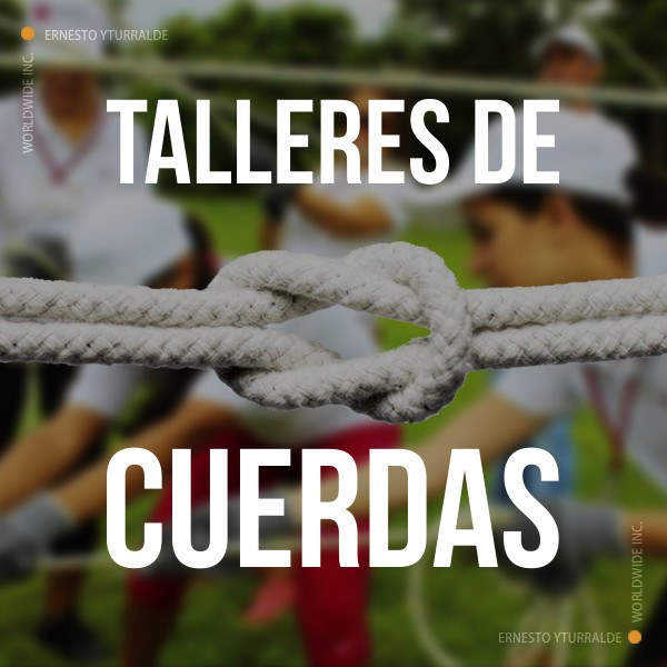 Talleres de Cuerdas Bajas para fortalecer el Trabajo en Equipo